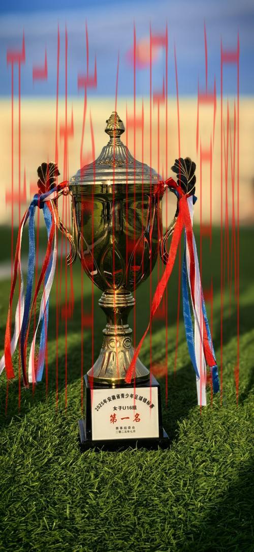 310体育皇冠,探索310体育皇冠的独特魅力与体育竞猜的精彩体验